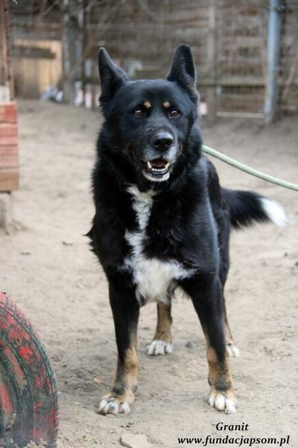 Granit - spokojny średniaczek