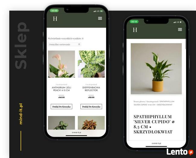 Strony internetowe | Sklepy internetowe | Projekty graficzne