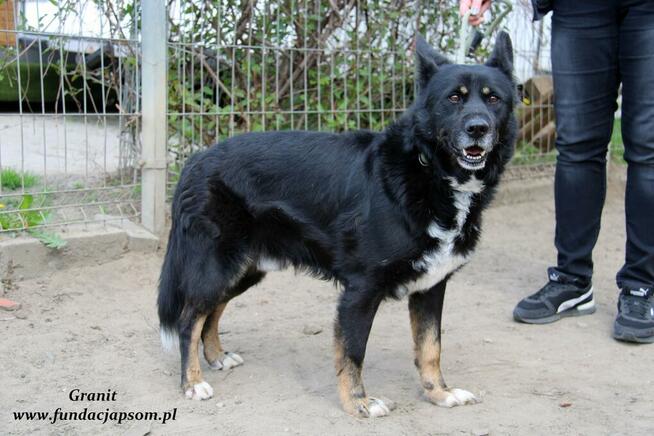 Granit - spokojny średniaczek