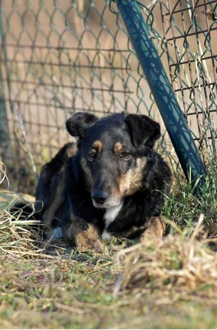 Rafia - ciekawa świata, choć jeszcze troszkę zdystansowana..