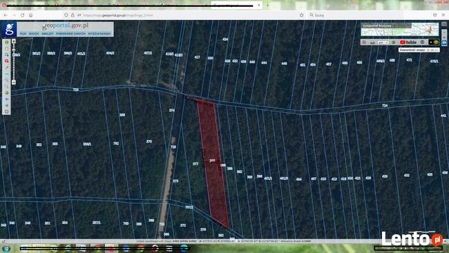 Działka 2500 m2 leśna Siennica Strugi Krzywickie / Chmielew