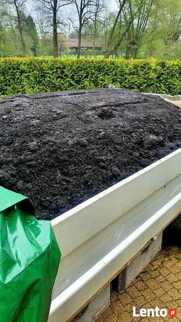 mini koparka minikoparka usługi koparką