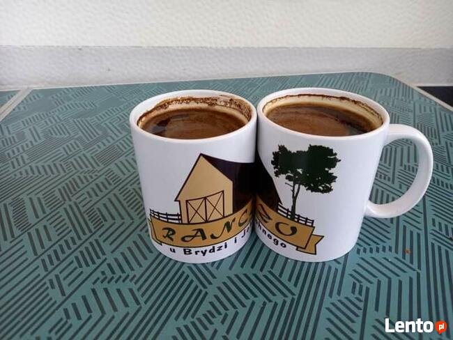 Pole namiotowe -Suwalszczyzna