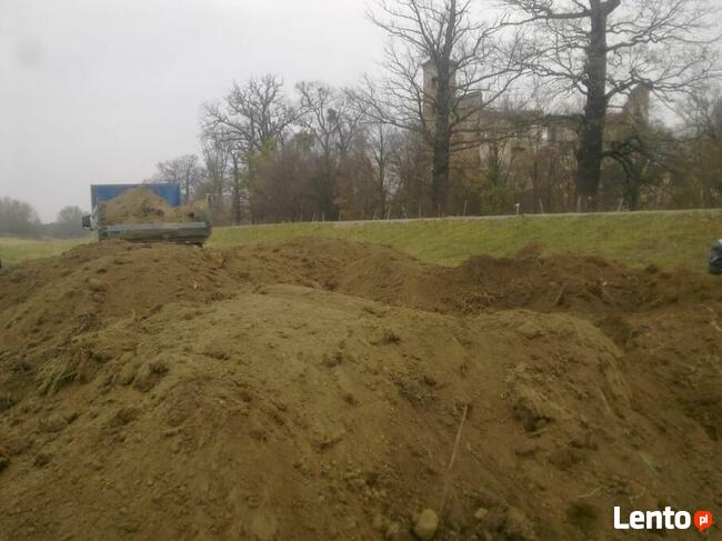 Ziemia ogrodowa, humus, czarnoziem, ziemia brunatna trawnik.