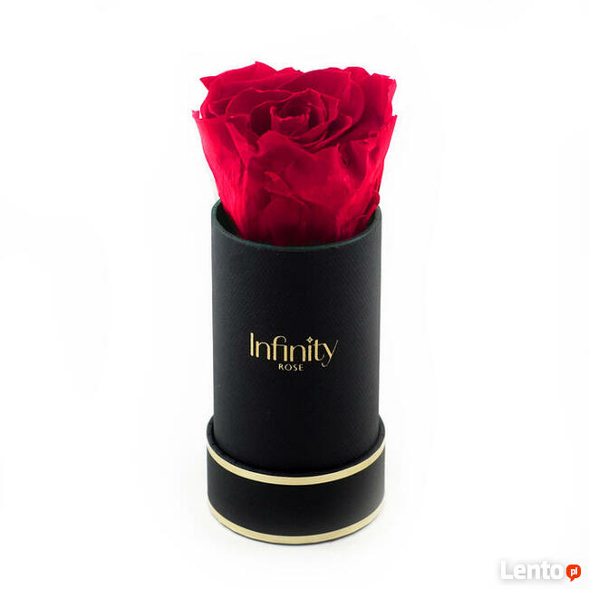 Ciemnoróżowa wieczna róża czarny mini flower box