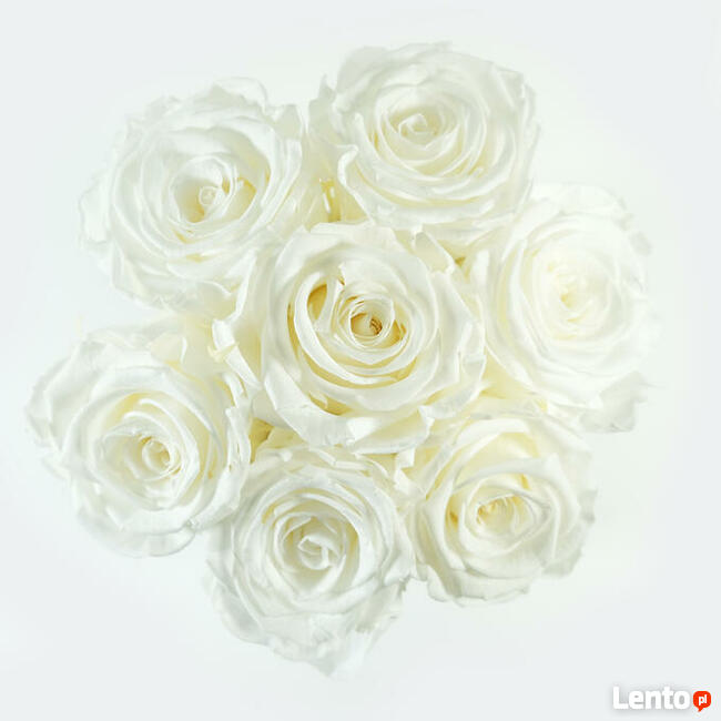 Białe wieczne róże w czarnym dużym flower boxie Dzień Matki