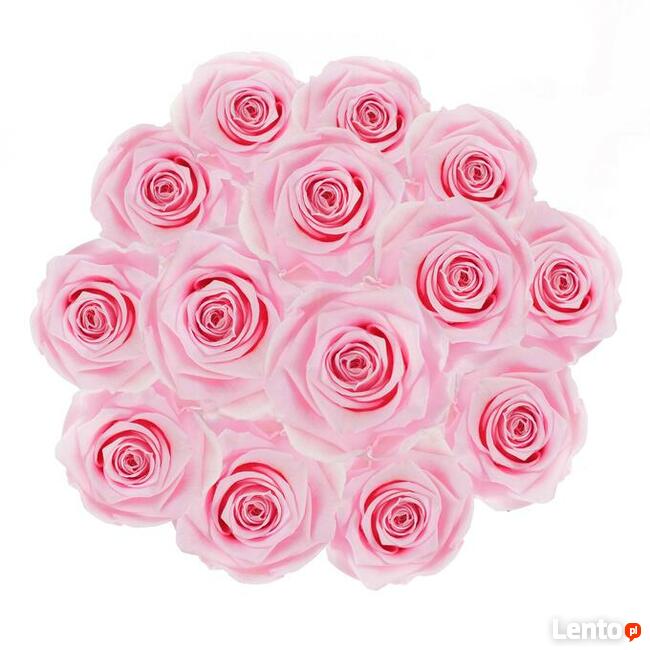 Bukiet różowe prawdziwe wieczne róże szary flowebox