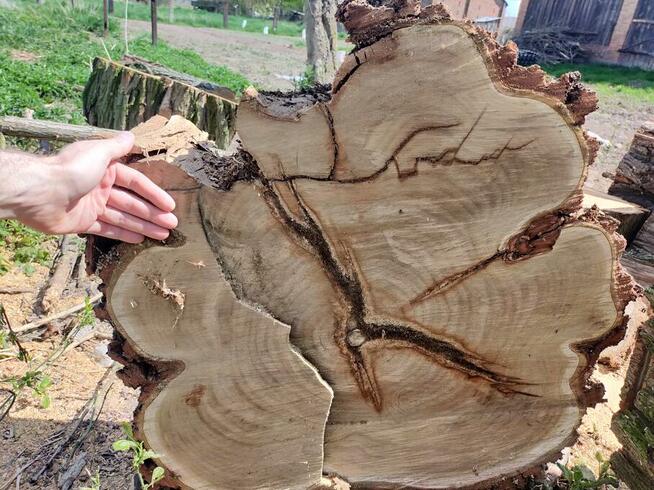 Drzewo na stoły, ławy loftowe