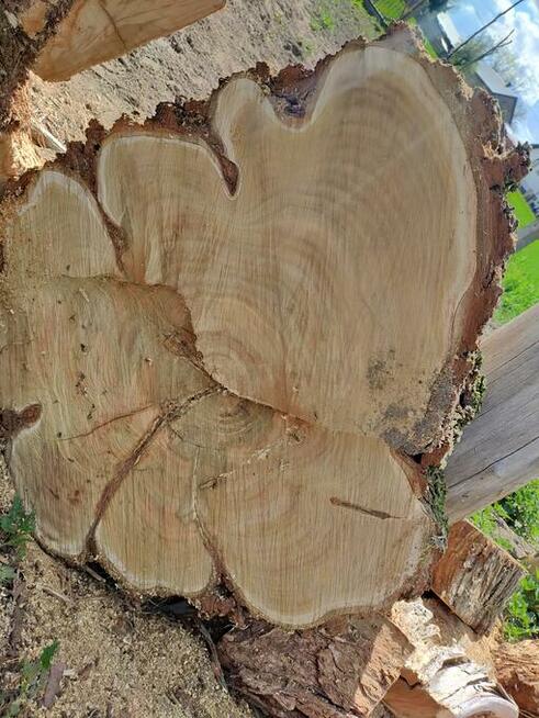 Drzewo na stoły, ławy loftowe