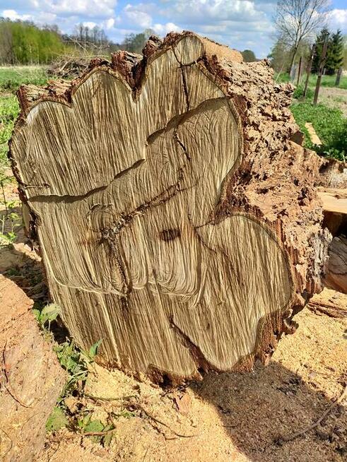 Drzewo na stoły, ławy loftowe