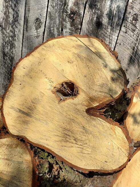 Drzewo na stoły, ławy loftowe