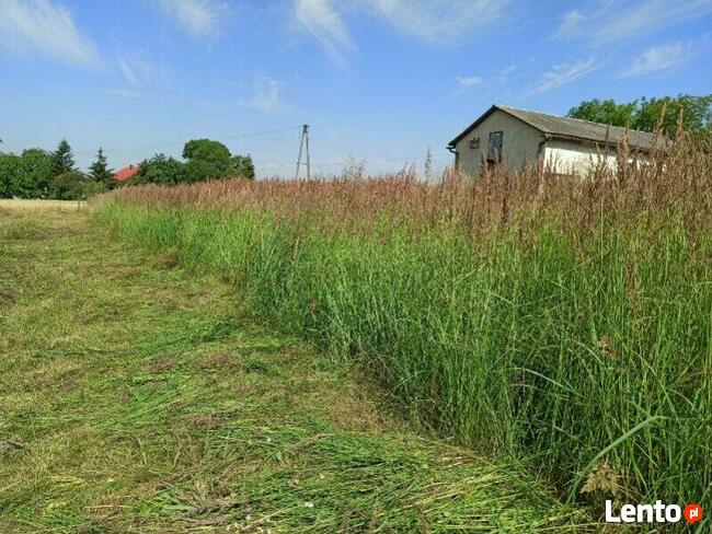 Koszenie trawy, nieużytków, kosiarka bijakowa, karczowanie.