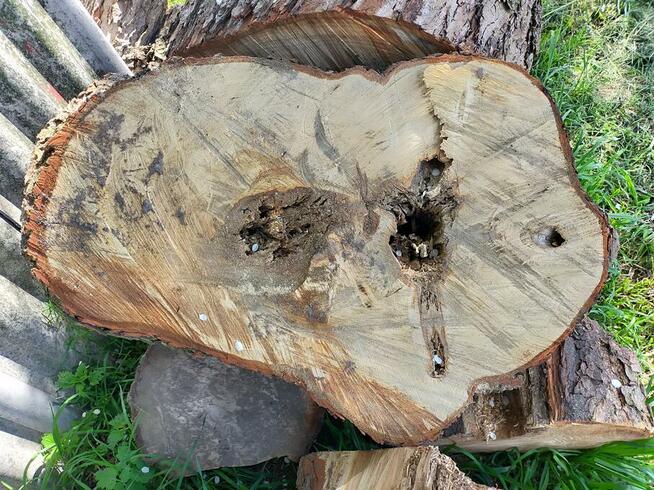 Drzewo na stoły, ławy loftowe