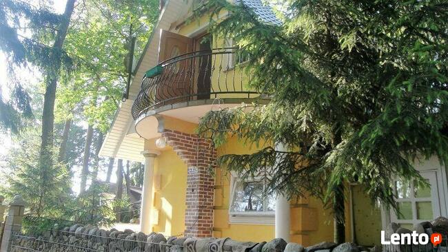 Jezioro Białe Okuninka k/Włodawa