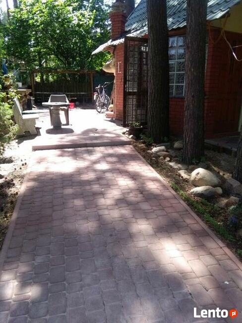 Jezioro Białe Okuninka k/Włodawa