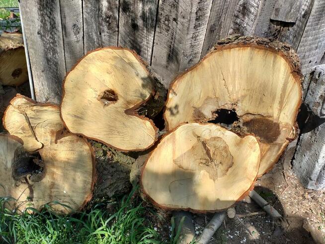 Drzewo na stoły, ławy loftowe