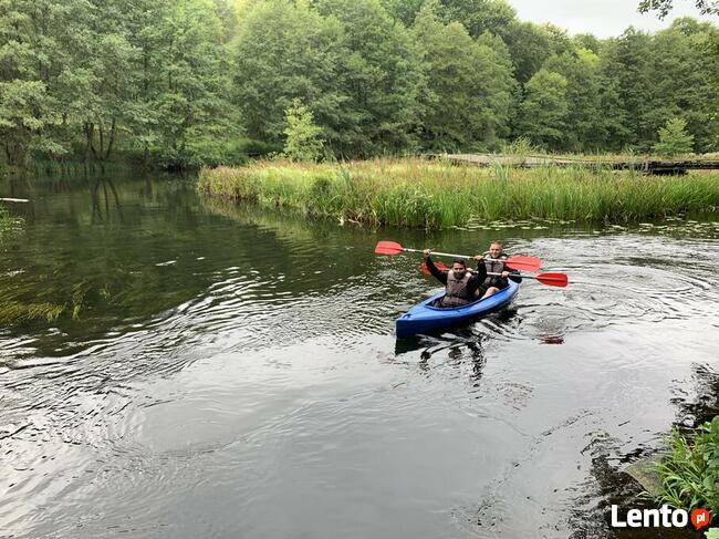 Spływy kajakowe Drawą, Korytnicą, Piławą i Cieszynką