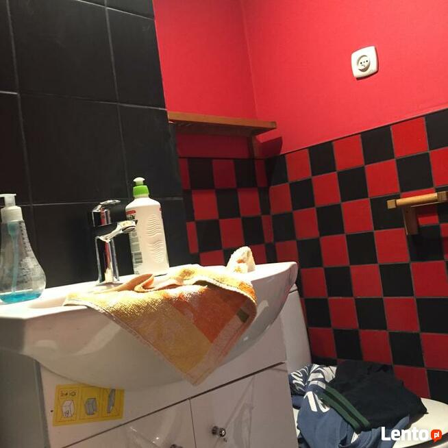 Remonty malowanie elektryka uprawnienia