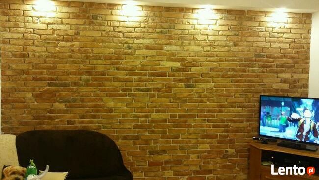 1m2 Płytki z cegły rozbiórkowej cegła cięta stara cegła