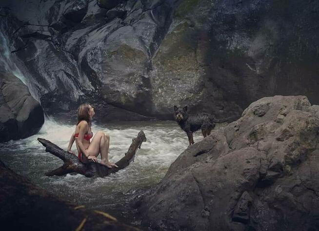 Opieka dla psa/kota/psi hotel/petsitter/Wola ul.Nowolipki