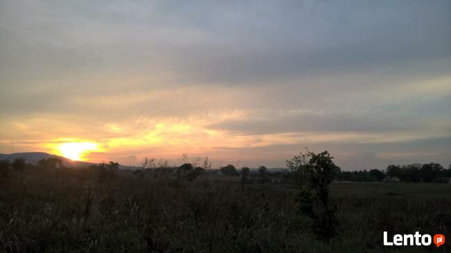 działka budowlana Stary Wielisław-Polanica Zdrój