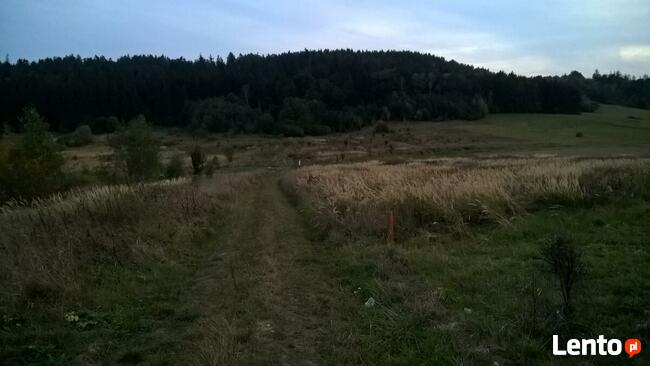 działka budowlana Stary Wielisław-Polanica Zdrój