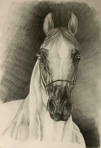 Wakacyjny kurs rysunku Elipsa 2025