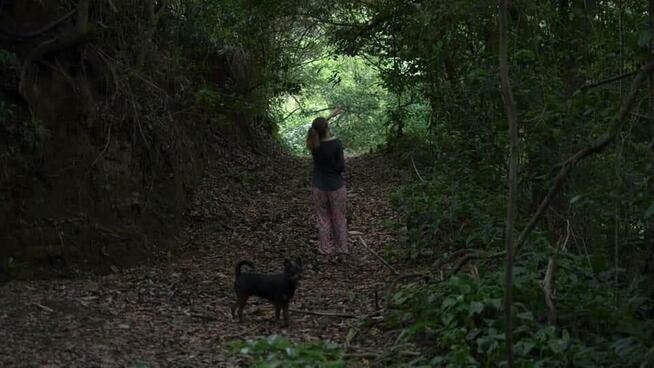 Opieka dla psa/kota/psi hotel/petsitter/Wola ul.Nowolipki