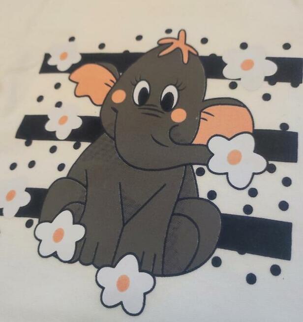 Komplet niemow z krótkim rękawem r: 3M,6M,9M,12M