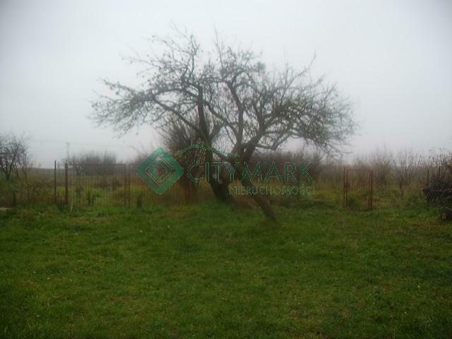 Działka rolno-budowlana Kampinos