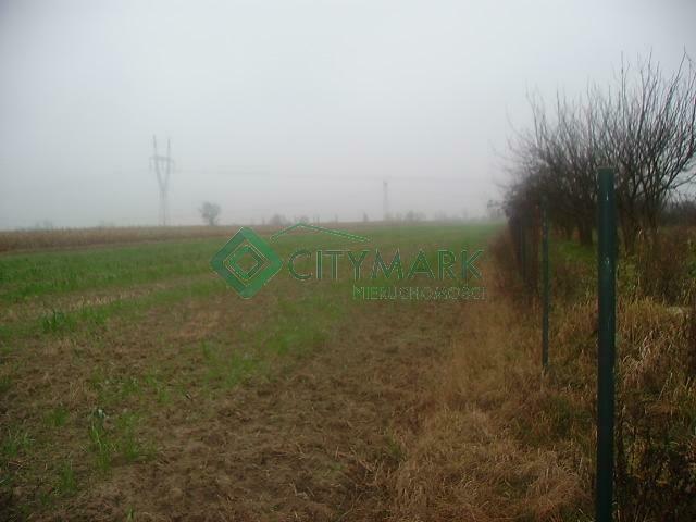 Działka rolno-budowlana Kampinos