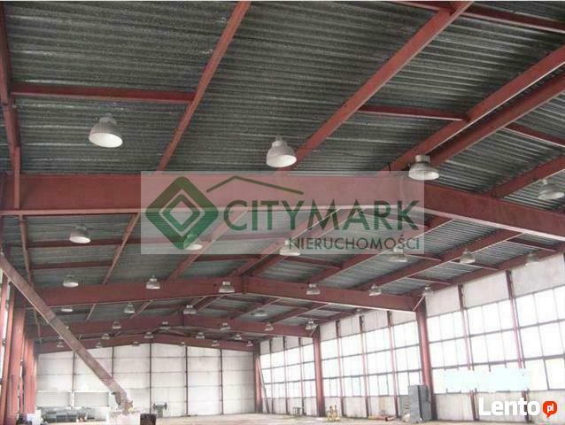 Lokal użytkowy Szydłowiec, -----------------------------