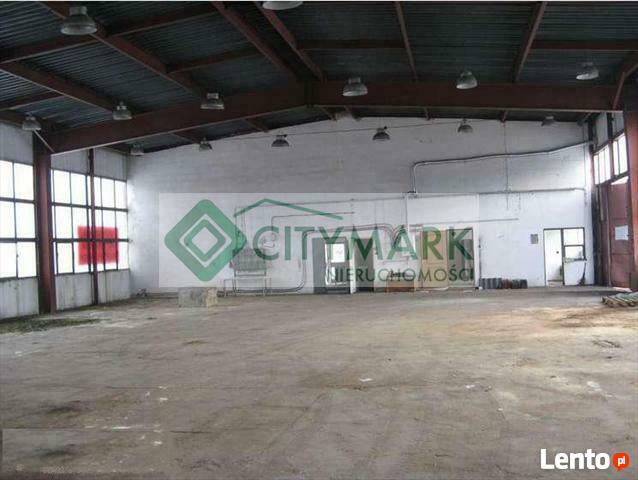 Lokal użytkowy Szydłowiec, -----------------------------