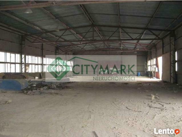 Lokal użytkowy Szydłowiec, -----------------------------