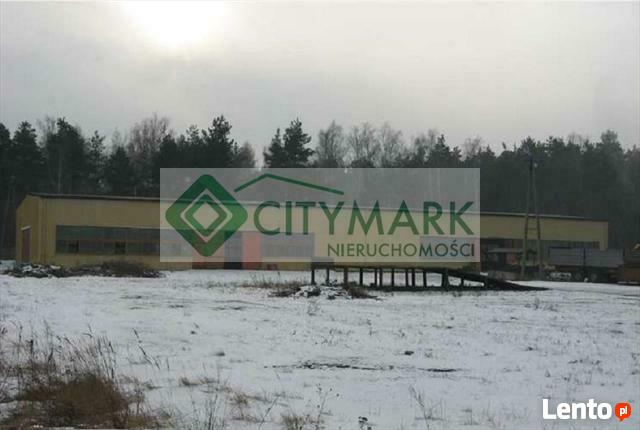 Lokal użytkowy Szydłowiec, -----------------------------