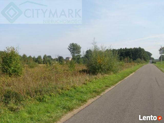 Działka inwestycyjna gm. Radziejowice