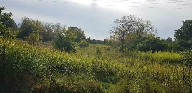 Działka rolna Łomianki