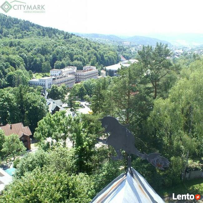 Lokal użytkowy Krynica-Zdrój