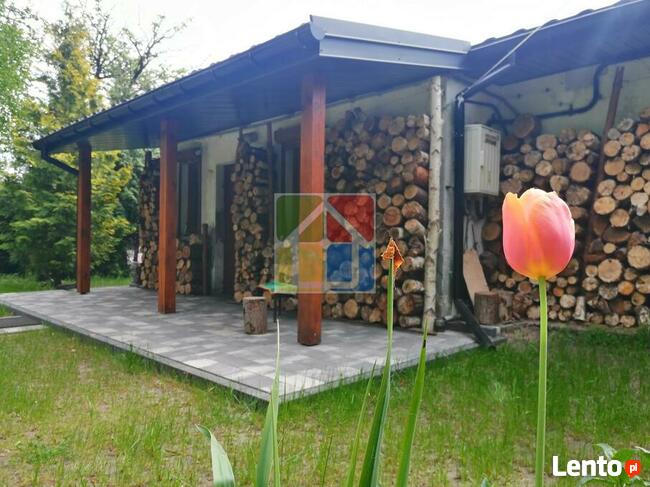 Kochasz przyrodę? To urocze siedlisko jest dla Ciebie!