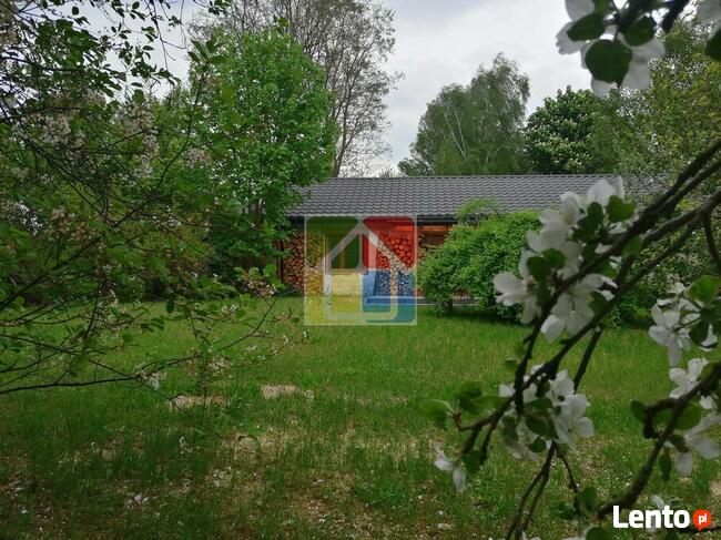Kochasz przyrodę? To urocze siedlisko jest dla Ciebie!