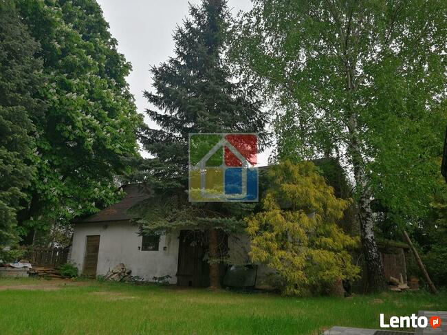 Kochasz przyrodę? To urocze siedlisko jest dla Ciebie!