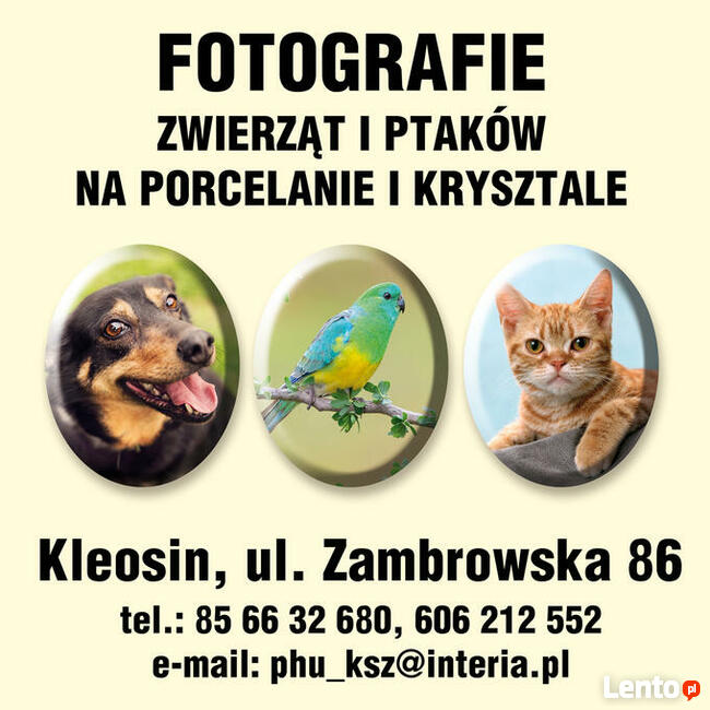 Fotografia nagrobkowa na porcelanie