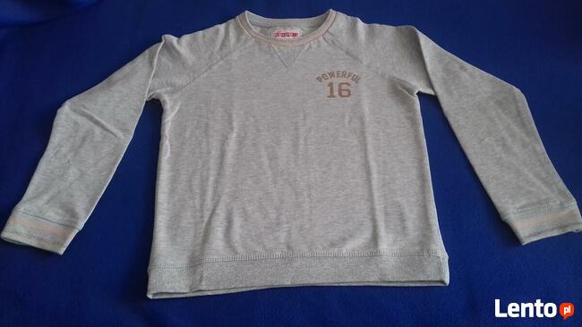Bluza popielata, rozm. 146, nowa, do sprzedania