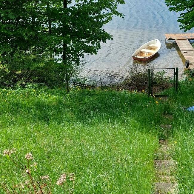 szukam dojrzałej Kobiety