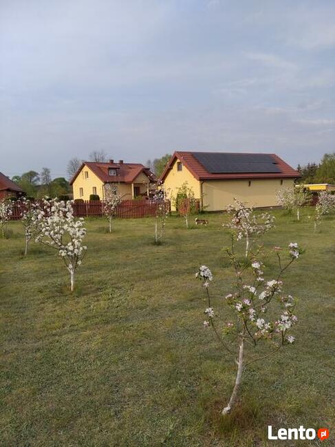 Posesja na sprzedaż