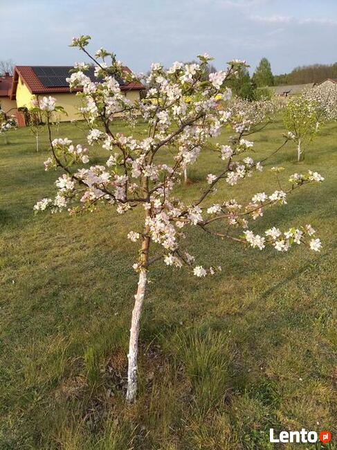 Posesja na sprzedaż