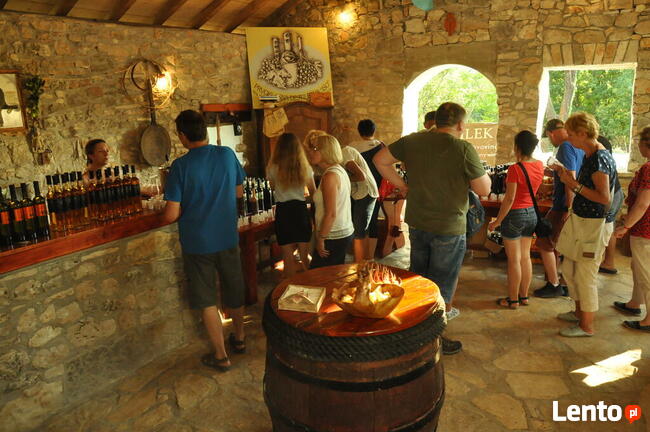 CHORWACJA SŁOWENIA hotel 4 dni HB bufety !! Pobyt 1190 zł