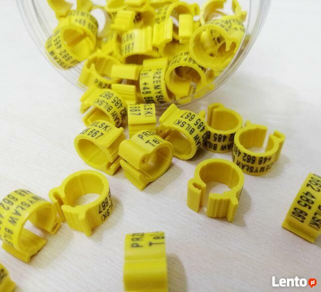 Znaczniki grawerowane dla gołębi pocztowych ADRESÓWKI