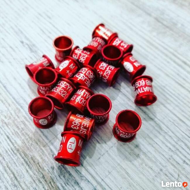 Obrączki aluminiowe grawerowane dla gołębi PZHGP