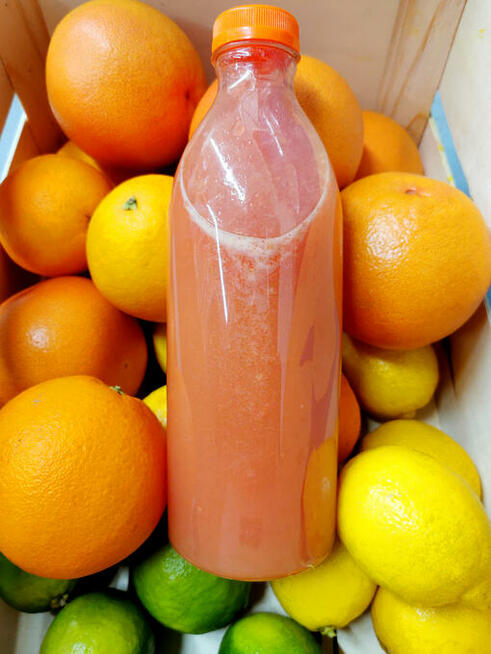 Soki świeżo wyciskane - limonka, cytryna, pomarańcza, grapef